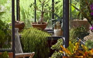 jardin-dhiver-veranco