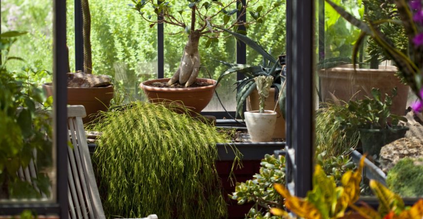 jardin-dhiver-veranco